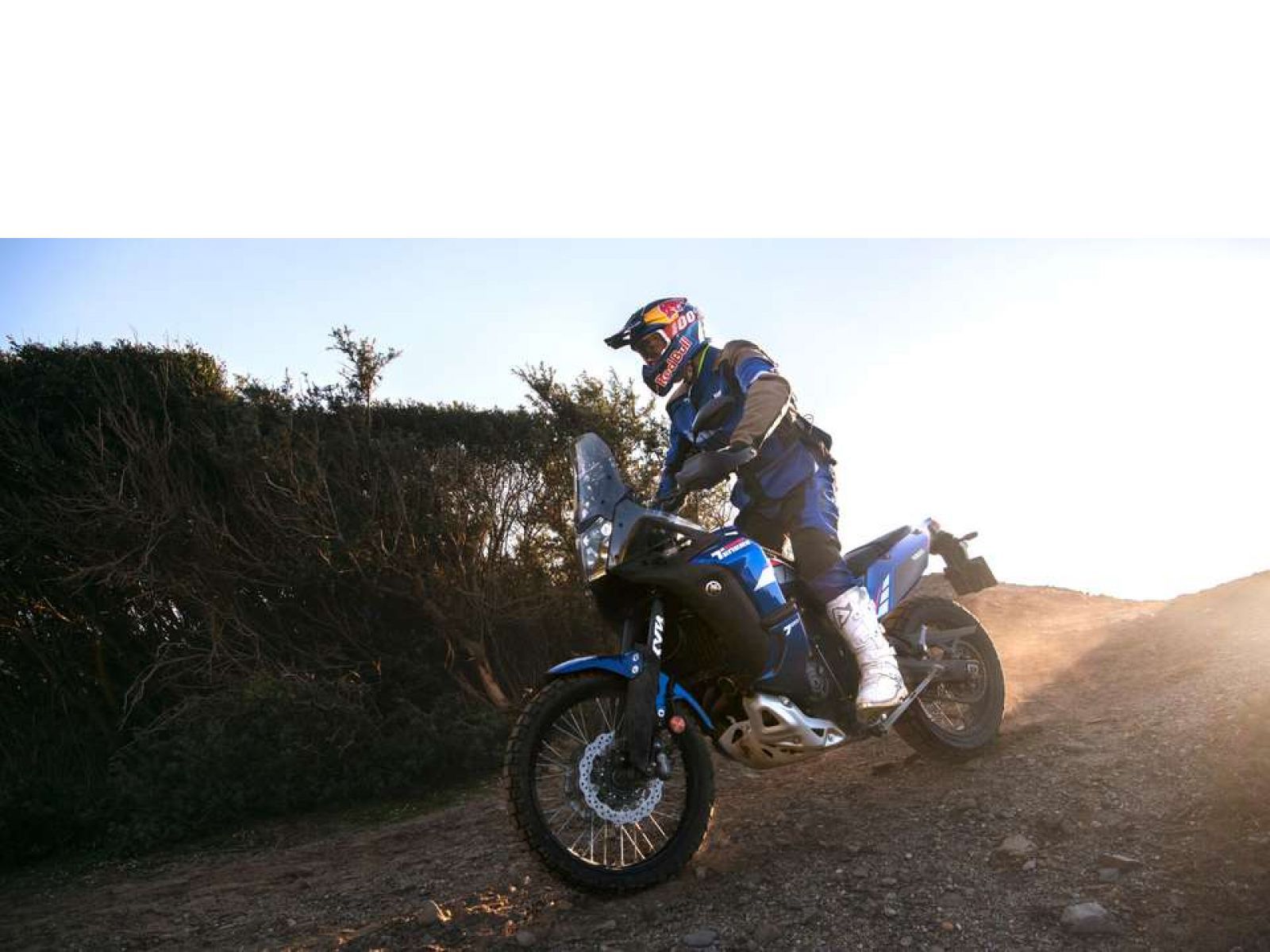 Мотоцикл YAMAHA Tenere 700 World Rally (Trophy Blue) 2023